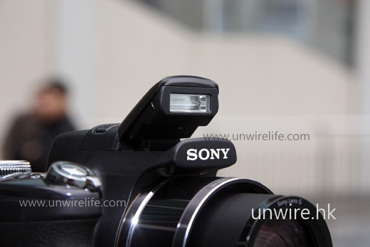 只有內置閃光燈，而不設 hot shoe 讓用家可接駁 Sony 的外置閃光燈，較令人失望一點。
