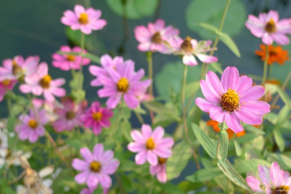 dof_lx3