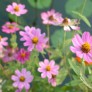 dof_lx3