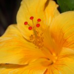 光圈：F8　快門：1/500秒　感光度：100