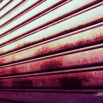 029_resize 029_resize