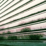 031_resize 031_resize