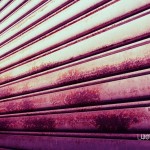 033_resize 033_resize