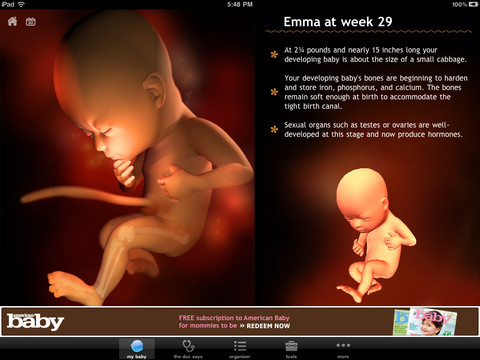 mzl.xfcpurlb.480x480-75