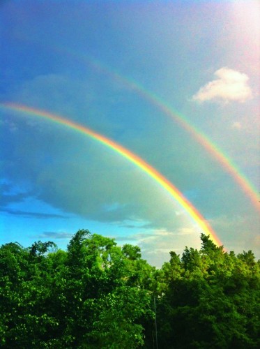 IMG-20120619-WA0027