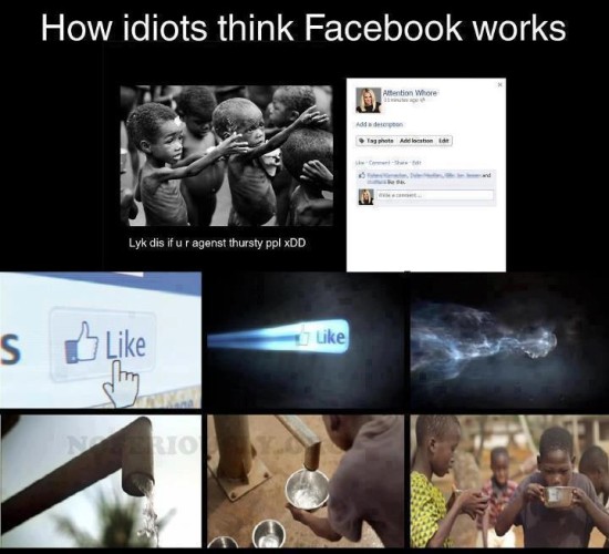 311768_340137242739511_629838743_n