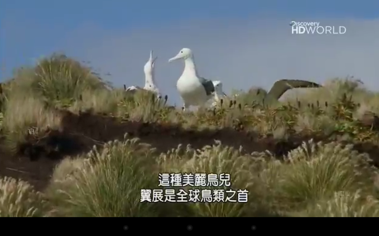 device-2012-12-18-171922