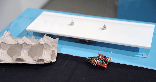 TwitterRoach1_Ransom_610x322