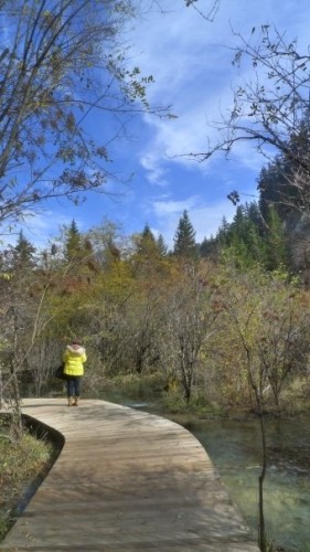 13756_175168008255_3101673_n