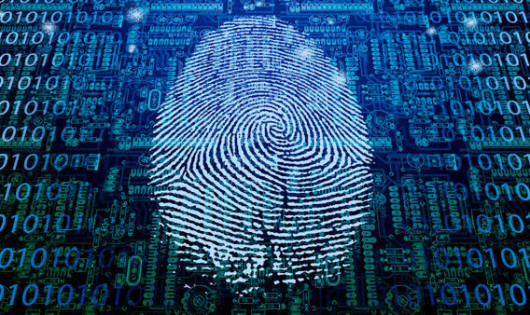 fingerprint