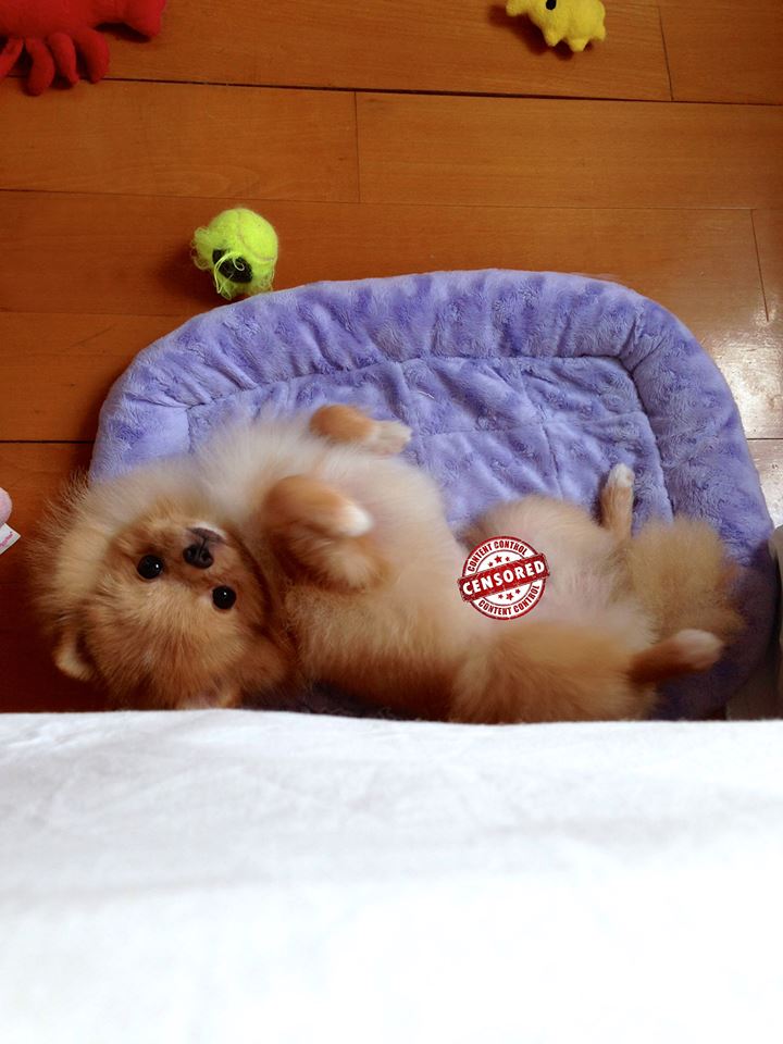 1001627_381883155244939_880433840_n