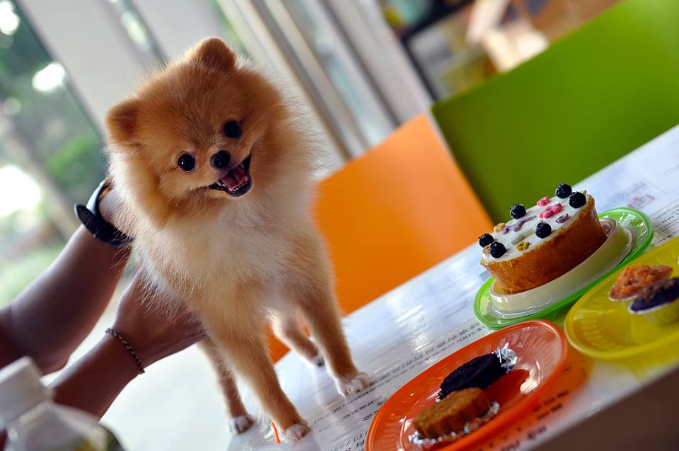 485404_384528421647079_969995288_n