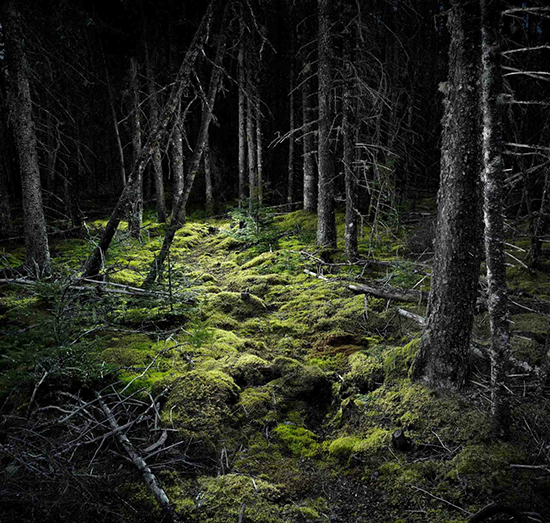 Screen Shot 2013-07-02 at 7.23.00 PM