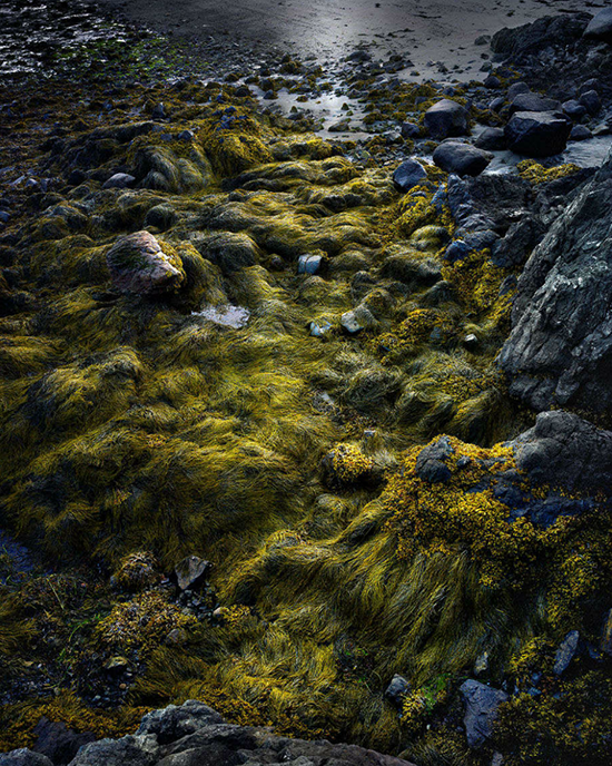 Screen Shot 2013-07-02 at 7.25.00 PM