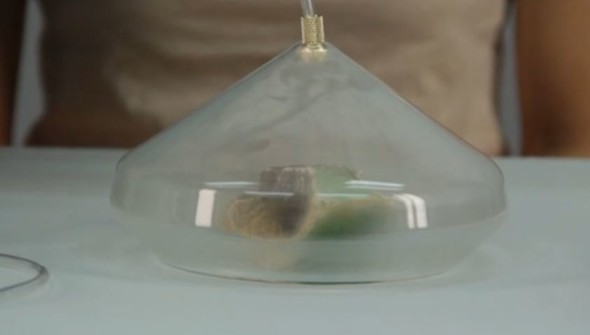 相機就會抽出物件的氣味