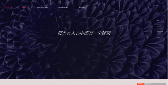 Savelli- the first luxury smartphone exclusively made for women