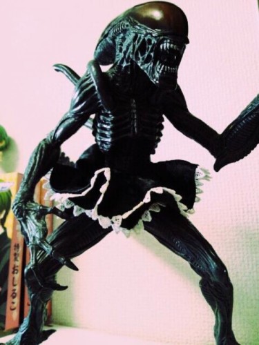 澎澎裙與玩具模型的浪漫邂逅1-600x799