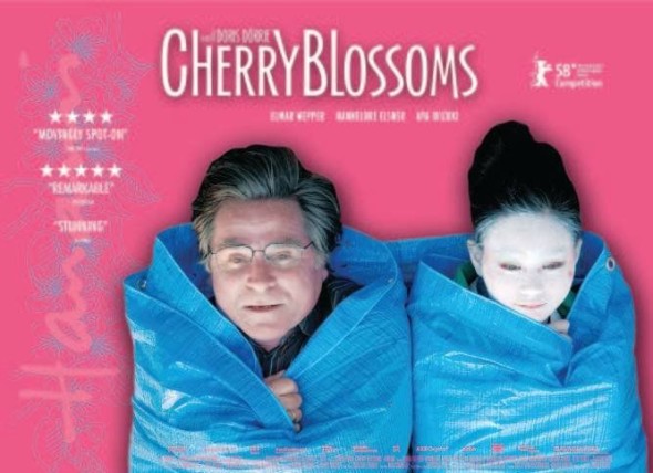 Cherry_Blossoms_Quad_copy_667_500_85