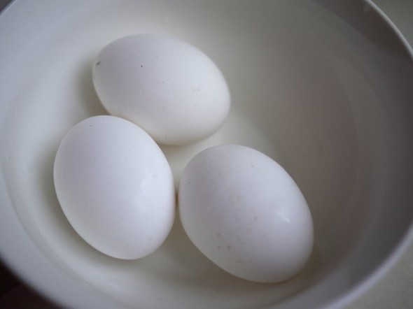 large_14bb9d2e65d42109