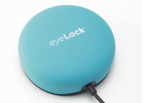 myris_large_verge_medium_landscape