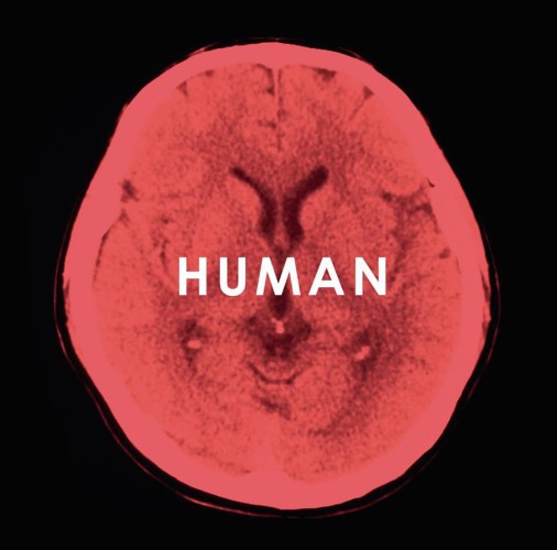 humanfu1