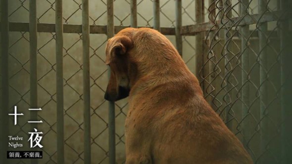 A85155A8AD38201FD8B301A6EB43_h498_w598_m2