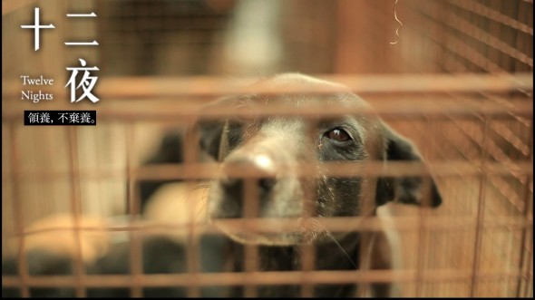 edd2639ce4bb1c5568c0f41475a2f3ad1143f653