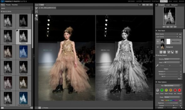 onOnePerfect_1-620x369