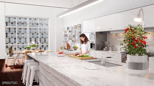 sproutsio-aeroponic-microfarming-system-2.png.650x0_q85_crop-smart