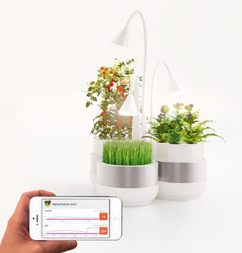 sproutsio-aeroponic-microfarming-system-3.jpg.650x0_q85_crop-smart