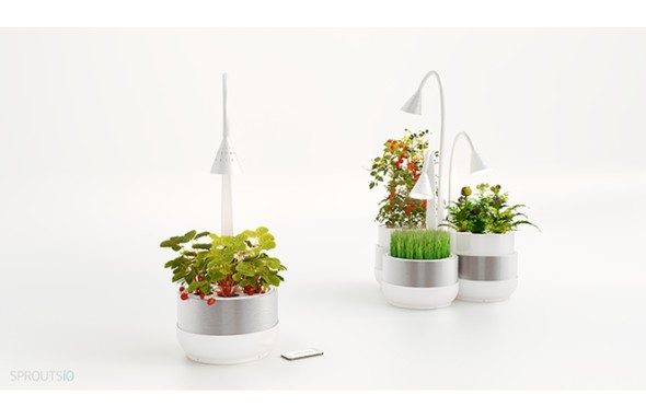 sproutsio-aeroponic-microfarming-system-4.png.662x0_q100_crop-scale