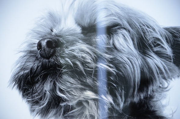 DSC_4191_verge_super_wide