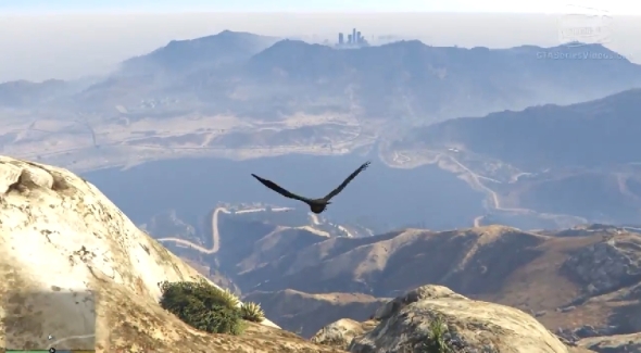 2014-11-20 16_26_41-GTA 5 - Play as a Bird (Chicken, Seagull, Hawk, Crow and more) [PS4 & Xbox One]