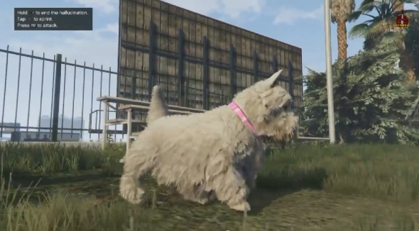 2014-11-20 16_38_14-GTA 5 PS4 Next Gen - Play As Mountain Lion,Dog,Wolf & More New Peyote Locations