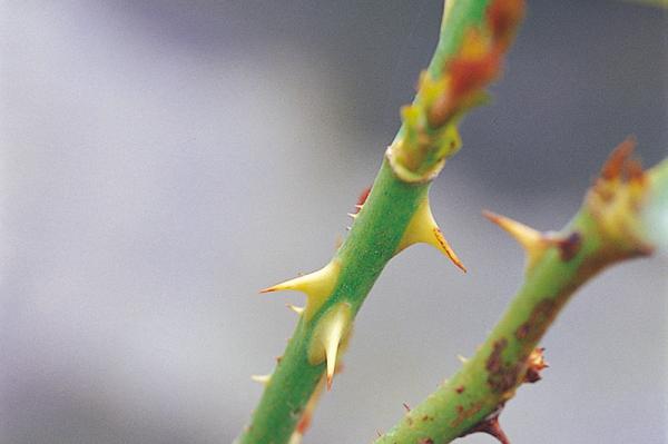 a100183_100408_1410332092